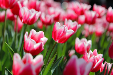 Similar image 6648400