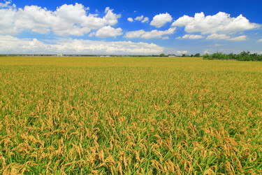 Similar image 6648404