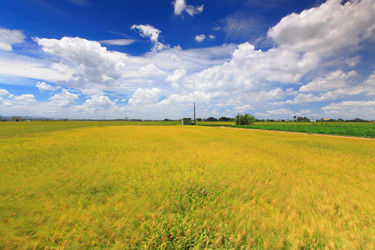 Similar image 6648406