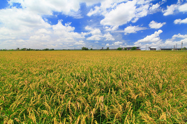 Similar image 6648408