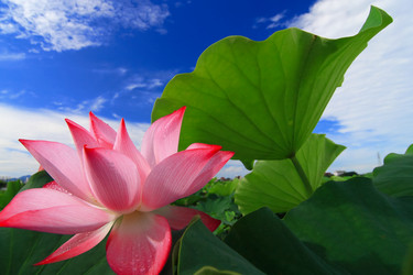 Similar image 6648413