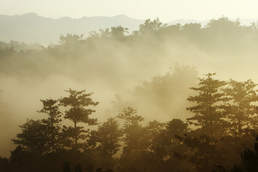 Similar image 6648414