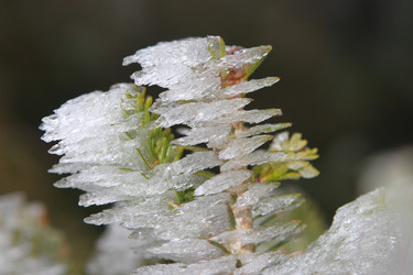 Similar image 6648419