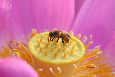 Similar image 6648426