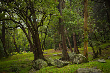 Similar image 6648434