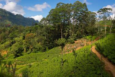 Similar image 6648436