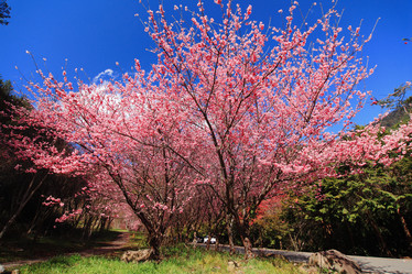 Similar image 6648440