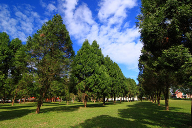 Similar image 6648445