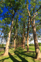 Similar image 6648458