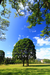 Similar image 6648461