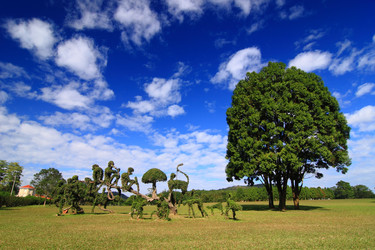 Similar image 6648468