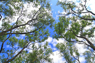 Similar image 6648470