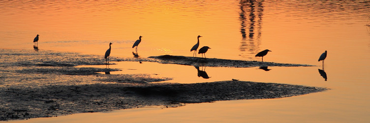 Similar image 6648487