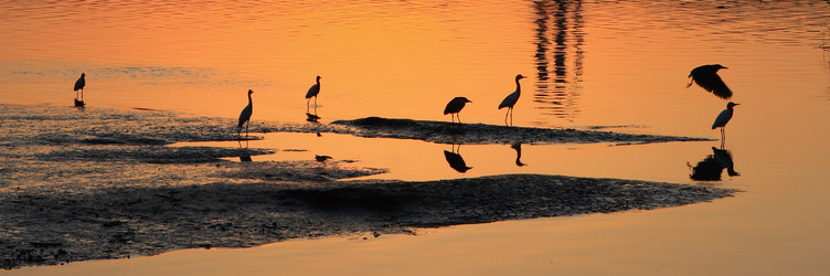 Similar image 6648488