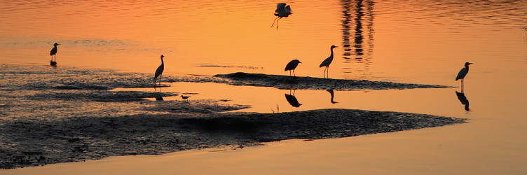 Similar image 6648489