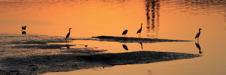 Similar image 6648490