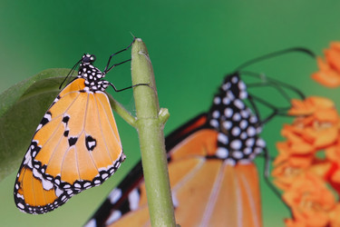 Similar image 6648558