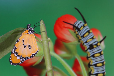 Similar image 6648559