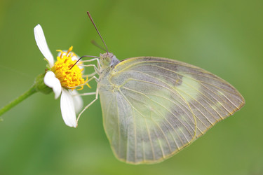 Similar image 6648560