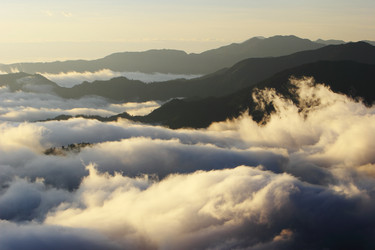 Similar image 6648564