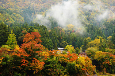 Similar image 6648581