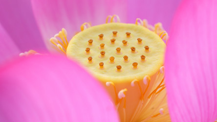 Similar image 6648586