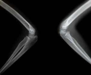 Similar image 6648756