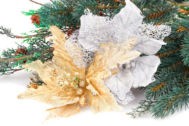 Similar image 6648953