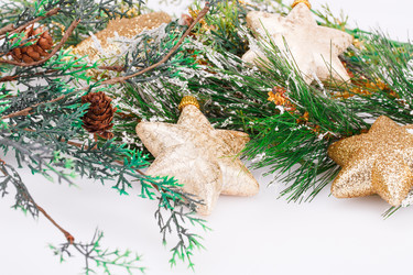 Similar image 6648956