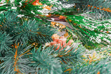 Similar image 6648974