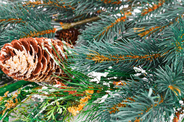 Similar image 6648975