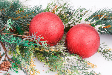 Similar image 6648988