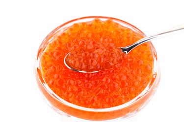 Similar image 6649025