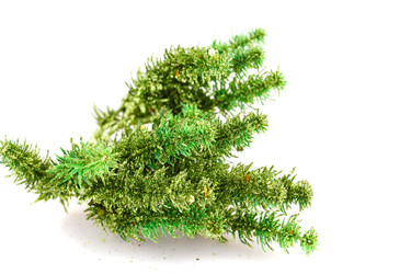 Similar image 6649061