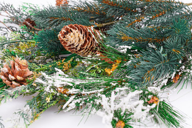 Similar image 6649119