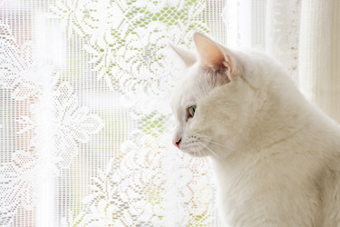 Similar image 6649592