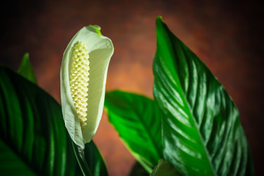 Similar image 6649608