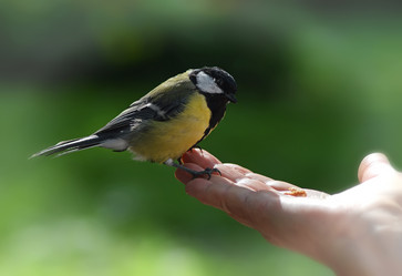 Similar image 6649613