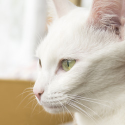 Similar image 6649629