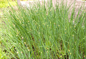 Similar image 6649633