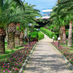 Similar image 6649634