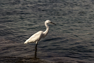 Similar image 6649639