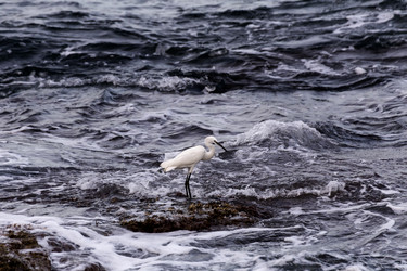 Similar image 6649640