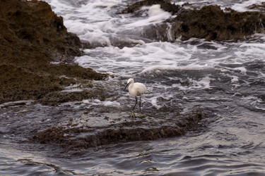 Similar image 6649641