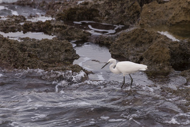 Similar image 6649642