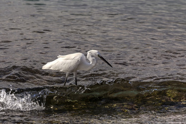 Similar image 6649643