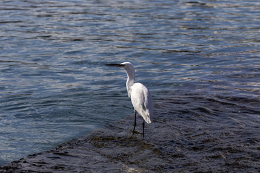 Similar image 6649644