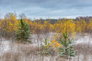 Similar image 6649646