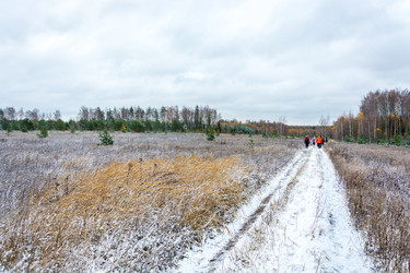 Similar image 6649650