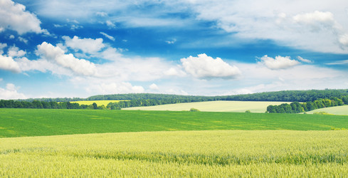 Similar image 6649659